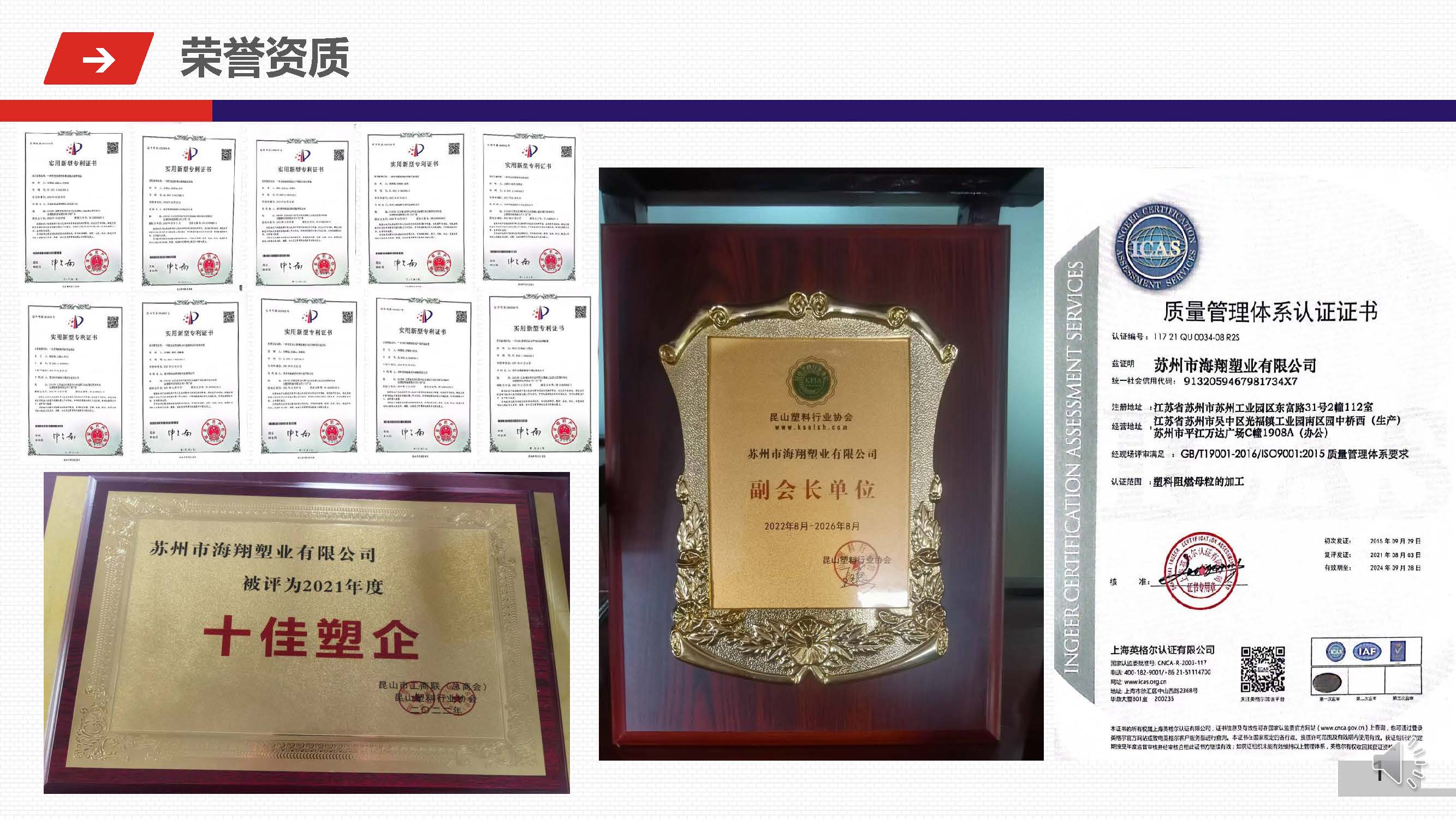 EVO视讯公司介绍1(1)_页面_1